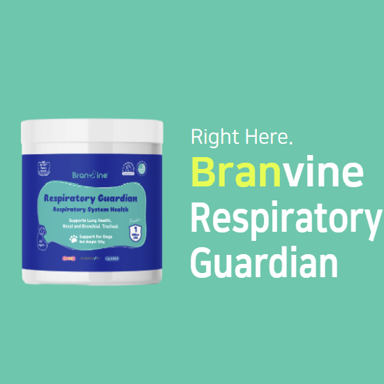 Respiratory Guardian - Supports Coughing, Runny Nose, Sinus for Dogs (135g)