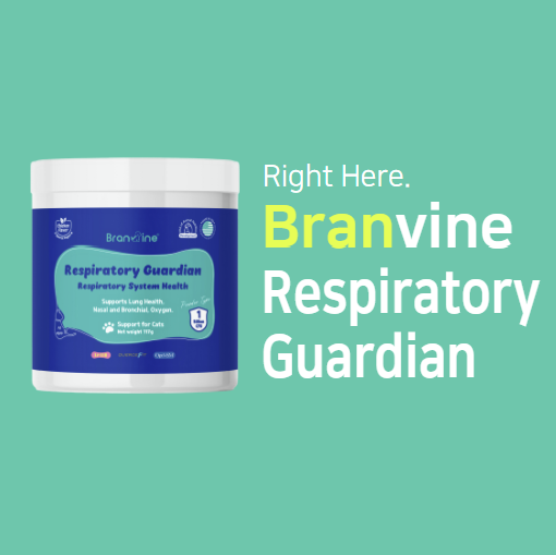 Respiratory Guardian - Supports Coughing, Runny Nose, Sinus for Cats (117g)