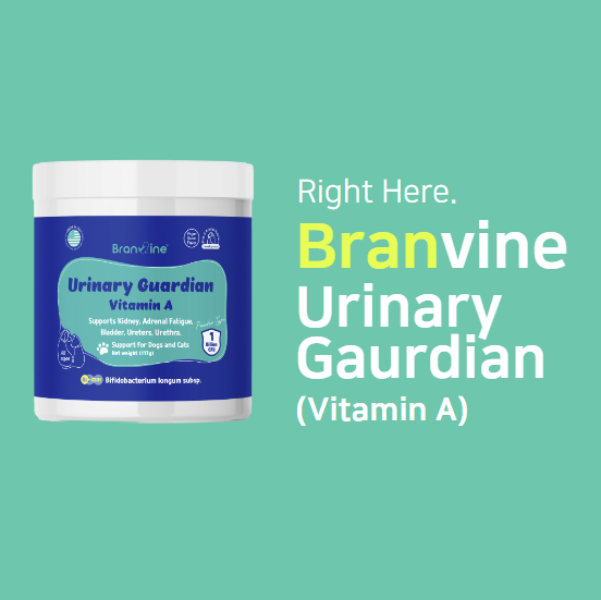 Urinary Guardian Vitamin A - Supports Kidney, Bladder, Cushing for Cats and Dogs (117g)