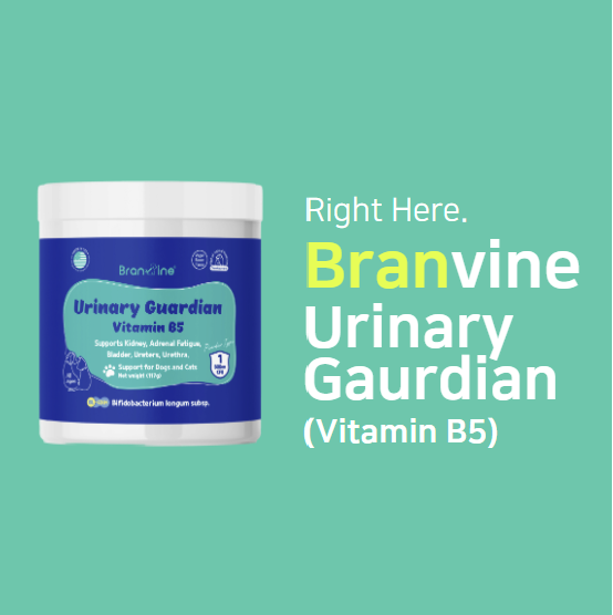 Urinary Guardian Vitamin B5 - Supports Kidney, Bladder, Addison for Cats and Dogs (117g)